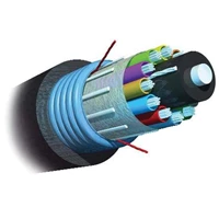 AMP FIBER OPTIC CABLE - Outside Plant Dielectric